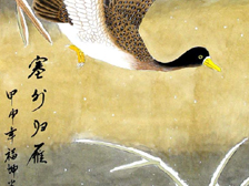 ƷӰֻ12